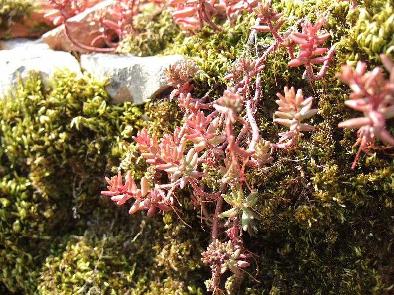 2010-05- (32).JPG